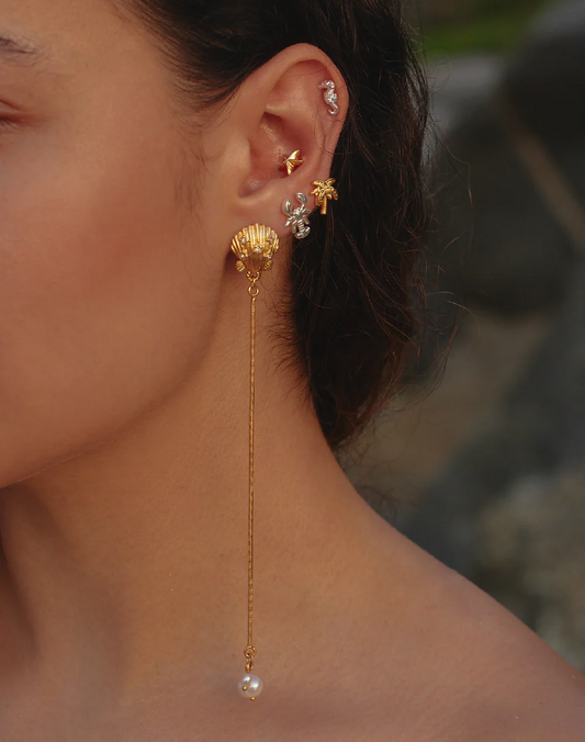 Ocean Beauty Earrings Setx5